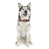 Traceur GPS étanche Drop Proo pour chiens Collier intelligent avec indice IP67 Aucun abonnement requis Fabriqué à partir de plastique et de nylon