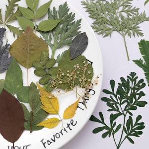 500 pièces/paquet, marque-pages et cadre photo artisanaux en fleurs pressées de type varié, aspect réaliste - Nouvel An chinois, Saint-Valentin - Product Image 4