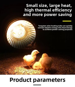 Новая инфракрасная лампа 220 В, ночные тепловые огни для рептилий, домашних животных, птенцов, рептилий, дневная лампочка, оборудование для животноводства - Product Image 5