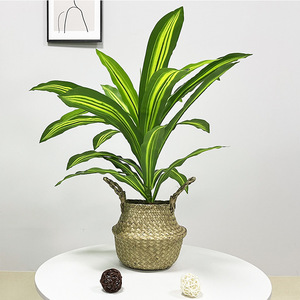 บอนไซ Dracaena ประดิษฐ์ที่เหมือนจริงน้ำหอมข้าวโพดพืชตกแต่งกระถางบราซิลต้นไม้ประดิษฐ์ - Product Image 4