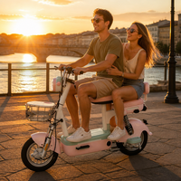 Vélo électrique deux places pour adultes, moteur central 48V 450W, batterie au plomb-acide, cadre en acier au carbone, vélo de ville pour trajets quotidiens