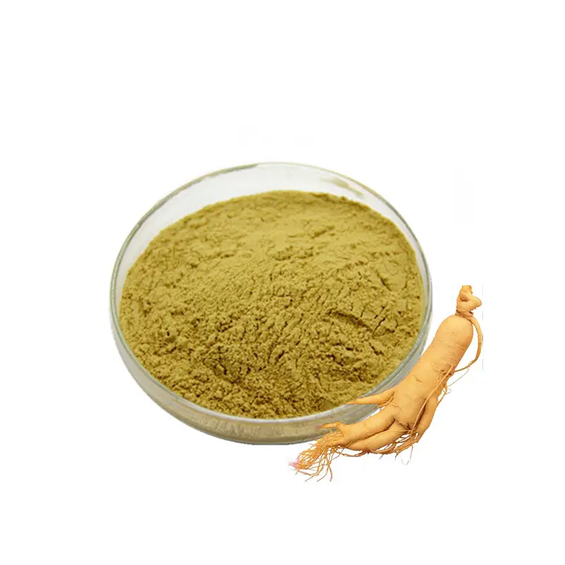 Extrait de Ginseng sibérien pur, produit d'usine