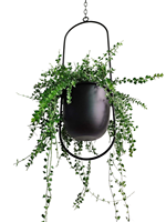 Porte-pot de fleurs intérieur et extérieur en métal noir moderne pour la décoration intérieure et le jardin