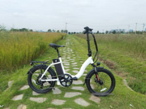 Vélo <span class=keywords><strong>électrique</strong></span> <span class=keywords><strong>pliant</strong></span> de 20 pouces pour <span class=keywords><strong>femme</strong></span>, moteur de 36V, 10,4ah, 350W - Product Image 6