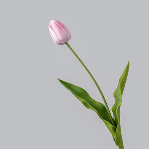 <span class=keywords><strong>Tulipanes</strong></span> rosas amarillos y <span class=keywords><strong>naranjas</strong></span> a precio de fábrica, <span class=keywords><strong>tulipanes</strong></span> artificiales preservados para el Día DE LA Madre, <span class=keywords><strong>tulipanes</strong></span> artificiales, <span class=keywords><strong>tulipanes</strong></span> en conserva, precio de fábrica al por mayor - Product Image 2