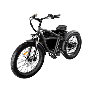 Bicicleta de 3 Ruedas con Sidecar para Transportar Mascotas, Triciclo con Llantas Anchas, Sidecar de Tres Ruedas, Triciclo con Llantas Anchas - Product Image 6