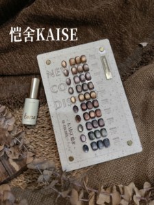 KAISE 2025 Beauty <span class=keywords><strong>Expo</strong></span> – Kit de vernis gel UV LED œil de <span class=keywords><strong>chat</strong></span> Marron Clair de Lune 10 couleurs – Bouteille écologique sans HEMA, sans TPO, non toxique - Product Image 4