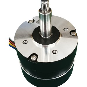 Motor CC sin escobillas 5747FOC de 36V de alto torque para máquina de ejercicio, uso comercial, cuerpo metálico, accionamiento eléctrico - Product Image 2