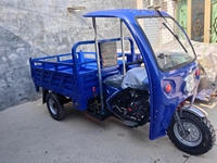200 CC Tricycle motorisé économe en carburant Moto à essence refroidie à l'eau avec chariot pour le transport de marchandises agricoles