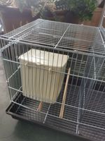 Vente en gros d'usine : Accessoires professionnels pour cages à oiseaux, petits nids en plastique pour perroquets, nids de reproduction et d'éclosion pour cages à oiseaux