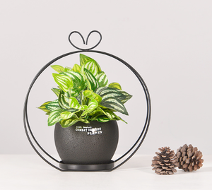 Pot de fleurs moderne de luxe en béton Pot de fleurs en métal noir avec contremarche décorative Pot de plantes en ciment avec présentoir décoratif - Product Image 5