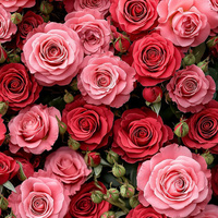 Extrait de plante de haute qualité : Poudre d'extrait de rose