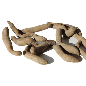 Mồi câu cá khô đóng băng bibiworm khô lugworm <span class=keywords><strong>BiBi</strong></span> giun cát - Product Image 3