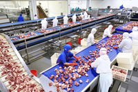 Ligne de production de kebab haute capacité, équipement de production en série pour barbecue commercial, ligne complète de traitement des brochettes de bœuf