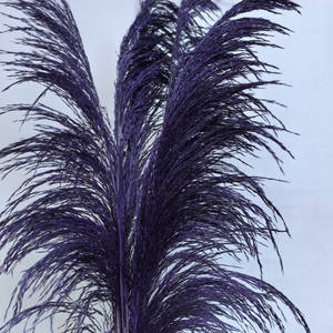 Vente en gros grande fleur d'herbe de pampa séchée Belle décoration de maison de fête de mariage de style frais sans perte de plumes - Product Image 6