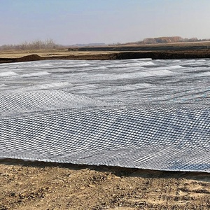 <span class=keywords><strong>Geogrid</strong></span> Hai Trục PP Chất Lượng Cao Polypropylene 15kn 20KN 30KN 45KN Giá Rẻ - Product Image 3