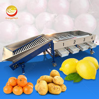 ORME kleine kiwi-dadelsorteermachine appel citrus avocado fruit sorteermachine voor aardappelen