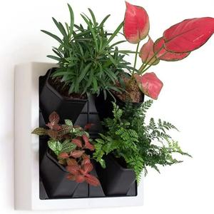 Jardinière murale en plastique de style nordique 2023, ornements de décoration intérieure, décoration murale pour salon, pot de fleurs moderne - Product Image 1