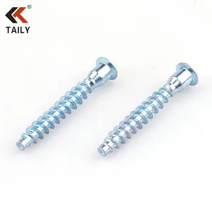 Zinc Plated Carbon Steel Flat Reduction End Allen Socket Furniture Confirmat Screw