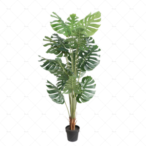 ต้นมอนสเตราเทียมทนรังสี UV สำหรับปลูกกลางแจ้งโรงงานชีสเทียมแบบสวิสเทียมสำหรับตกแต่งบ้านและเชิงพาณิชย์ขายส่งราคาโรงงาน - Product Image 2