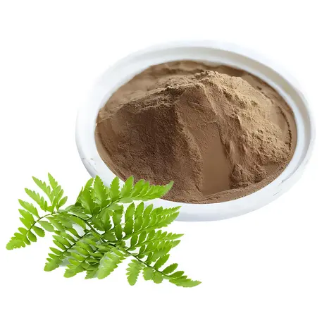 Kalawalla toz ot Fern Polypodium Leucotomos (Calaguala) özü Triterpene 2% güneş yanığı egzama için