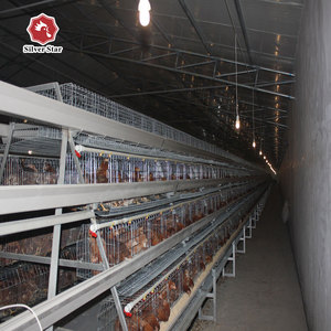 Gallinas ponedoras capa <span class=keywords><strong>de</strong></span> jaula <span class=keywords><strong>de</strong></span> pollo <span class=keywords><strong>de</strong></span> <span class=keywords><strong>granja</strong></span> - Product Image 3