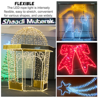 Guirlande lumineuse LED étanche avec fil de cuivre en PVC transparent 3W par mètre pour la décoration de Noël, des parcs et des paysages commerciaux