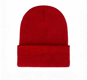 Gorro de Punto 100% Algodón, Color Sólido, Tejido, con Logotipo Personalizado, Bordado Personalizado, Protección Contra el Frío al Aire Libre - Product Image 1