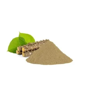 Poudre d'extrait de Tinospora Cordifolia sauvage de haute qualité 10:1, herbe fraîche, complément alimentaire, emballage en vrac, grand stock - Product Image 4