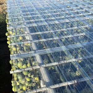 0.8mm 0.9mm 0.95mm 1mm 1.5mm 2mm 2.5mm 3mm Estufa do policarbonato Painéis plásticos ondulados Telhas do policarbonato - Product Image 6