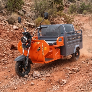 Heavy Duty Three Wheeler 1200W Motor Foldable <b>Box</b> E-trike with 400kg Load for Nigeria and Kenya Market - Product Image 1