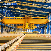 Pont roulant à double poutre anti-poussière et économe en énergie pour usine de fusion et usine d'aluminium