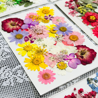 30-35 pièces/paquet de fleurs séchées pressées pour cadre photo en résine, packs mixtes de plantes naturelles, fleurs pressées mélangées
