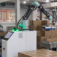 Robot palettiseur Mushi, Cobot palettiseur, Machine de palettisation automatique de cartons, Boissons, Tabac, Aliments, Moteur électrique PLC, Film