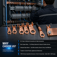 Oeillets à extrémité ouverte Cosses de borne à sertir Connecteurs de câble de batterie à anneau de cuivre électrique