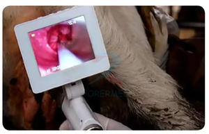 Pistola de Inseminación Artificial para Perros con Pantalla Giratoria de 360 Grados, Catéter de Inseminación, Pistola de Inseminación Visual Canina - Product Image 5