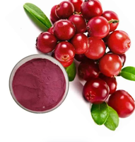 Supplément de poudre de jus de fruit de canneberge de catégorie comestible riche en extrait d'anthocyanine