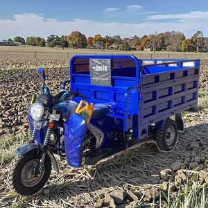 Moto cargo à <span class=keywords><strong>essence</strong></span> 200cc la plus vendue, la mieux notée, de haute qualité, chargement facile, franchissement de collines sans effort et puissance exceptionnelle - Product Image 3