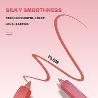 Crayon à Lèvres Crémeux Logo Personnalisé Vente en Gros, Nouveau Design, Lisse et Waterproof, Haute Pigmentation, Maquillage Mat pour les Lèvres