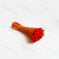 Steuergerät Hot Sale 0,5 Meter Zünder Kupferdraht Feuerwerk Werkzeug Neujahr Pyro-Pyro technic Electric Ignitor Plastic Safe Secure
