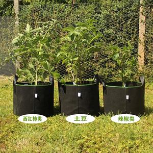 China Professional Manufacturer Planting <b>Bag</b> <b>for</b> Vegetables Felt <b>Grow</b> <b>Bags</b> Rectangle - Product Image 5