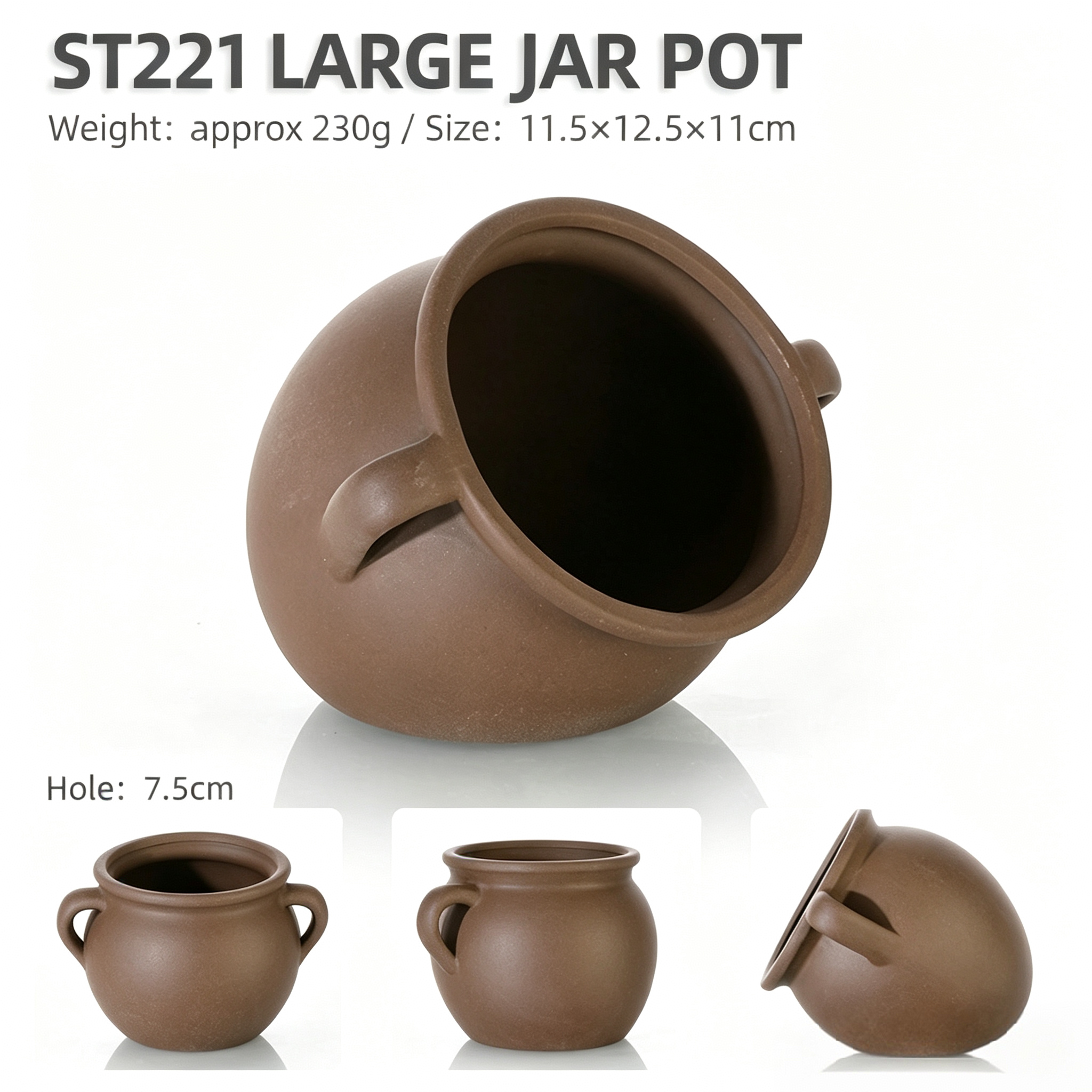 ST221 marrone