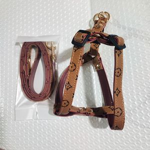 Collare e Guinzaglio per Cani di Piccola Taglia in Pelle e Pelliccia Personalizzati di Lusso Premium - Product Image 5