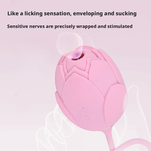 Rose Adult Sex Toy Factory Groothandel Hot Sale Vibrator voor Vrouwen Puberale Rose Toys Adult Sex Toy voor Vrouwen - Product Image 4