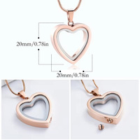 Collier pendentif cœur personnalisé en acier inoxydable plaqué or 18 carats, étanche, pour cendres d'animaux de compagnie, transparent, pour souvenir ou cadeau