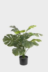 <span class=keywords><strong>2025</strong></span> Bán Hàng Nóng Nhân Tạo Nhà Máy Trang Trí Bonsai Bất Cảm Ứng 77Cm 15 Lá Monstera Cây Nhân Tạo - Product Image 2