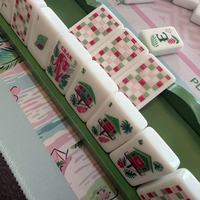 Nuevo Juego de Mahjong Estilo Selva Tropical Americana 2026, 160 Fichas de Mahjong Acrílicas, Regalos de Ocio y Entretenimiento
