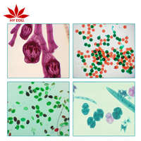 Professional Hot Sale Plant pollen set biological slides for science education