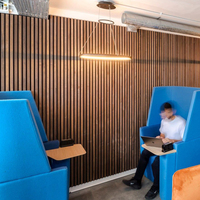 Witop Décor d'appartement Mur et plafond Décoration insonorisante Panneaux acoustiques d'insonorisation pour animaux de compagnie et lattes de bois