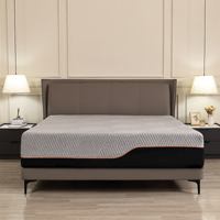 USA Lokaler Lagerbestand Memory Foam Matratze Gel-Infundierte Grüntee-Schaummatratze Spezieller Rabatt 20% für Großhandelskunden